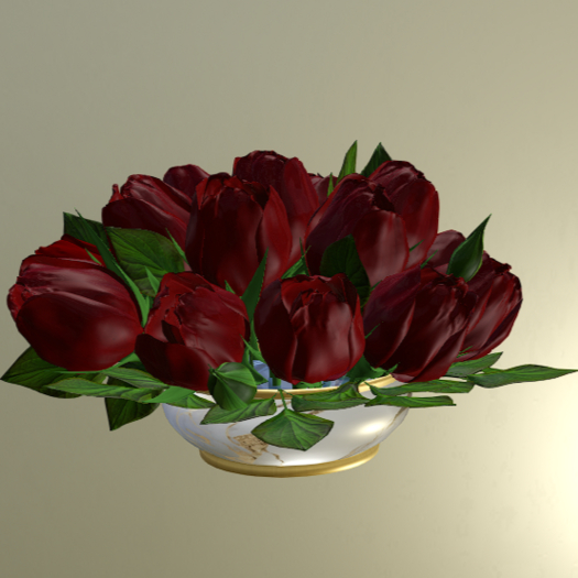 Roses #079