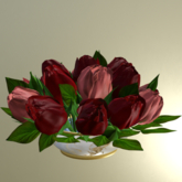 Roses #077