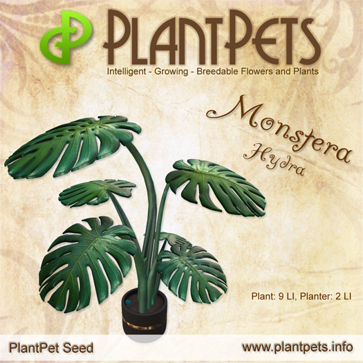 PlantPet Monstera *Hydra*