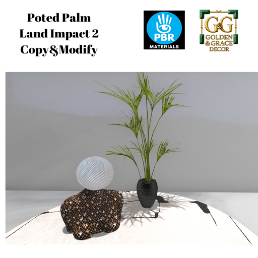 Poted Palm