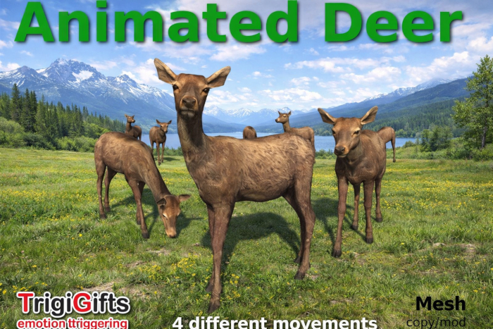 Deer