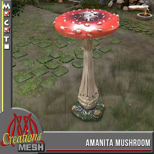 Amanita Mushroom CM box