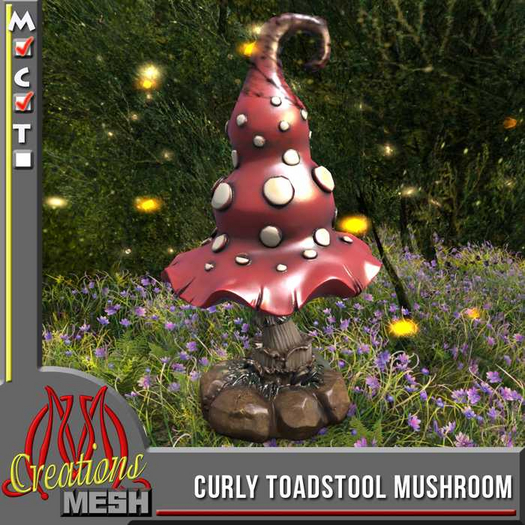 Curly Toadstool Mushroom CM box
