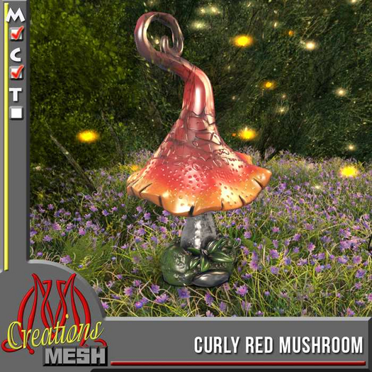 Curly Red Mushroom CM box