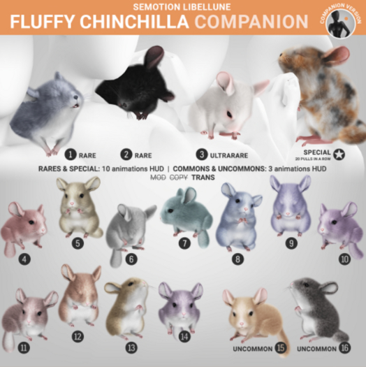 SEmotion Libellune Fluffy Chinchilla Companion COMMON 13