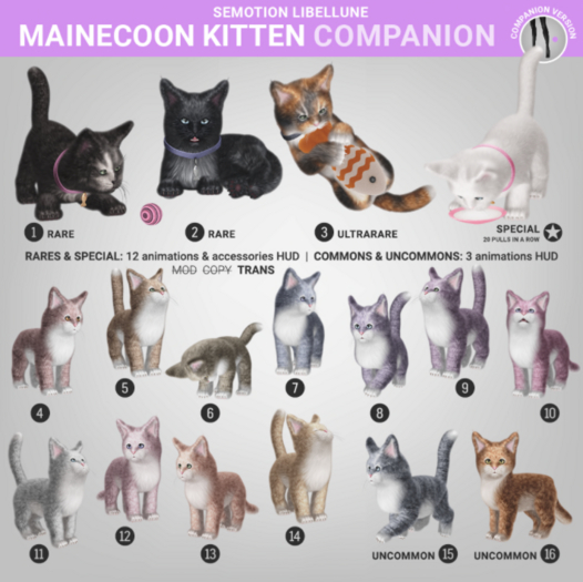 SEmotion Libellune Mainecoon Kitten Companion RARE 02