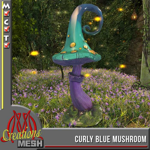 Curly Blue Mushroom FP box