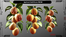 Apricot Full Perm