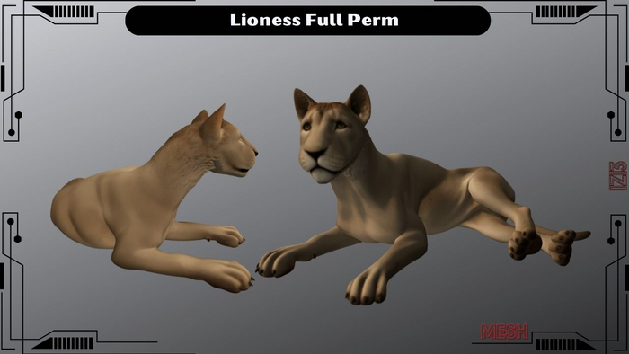 Lioness Full Perm