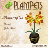 PlantPet Seed [Amaryllis *Small Gold-Red*] rare elite