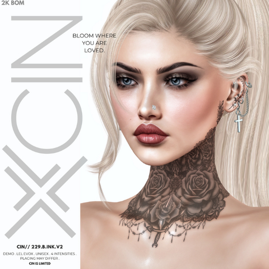 CIN// 229.B.INK.V2