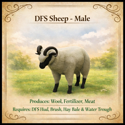 DFS Sheep - Male - ACTUAL ITEM