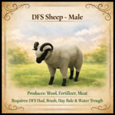 DFS Sheep - Male - ACTUAL ITEM