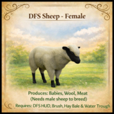 DFS Sheep - Female - ACTUAL ITEM