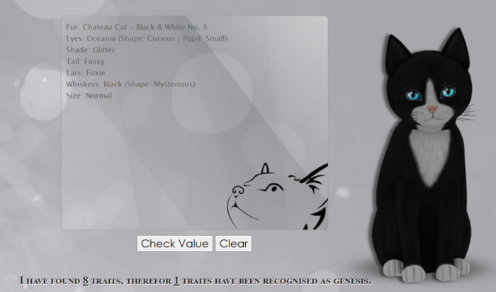 KittyCatS Boxed Kitten - M 8T Chat B&W No 3 + Oceania + Foxie