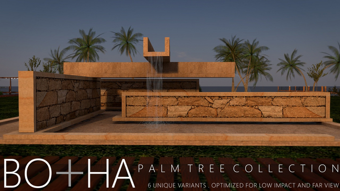 Botha Palm Tree Collection