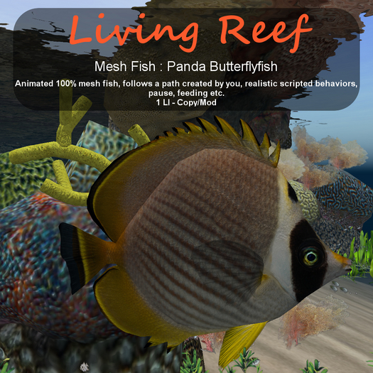 Inochi Reef : Mesh Fish - Panda Butterflyfish