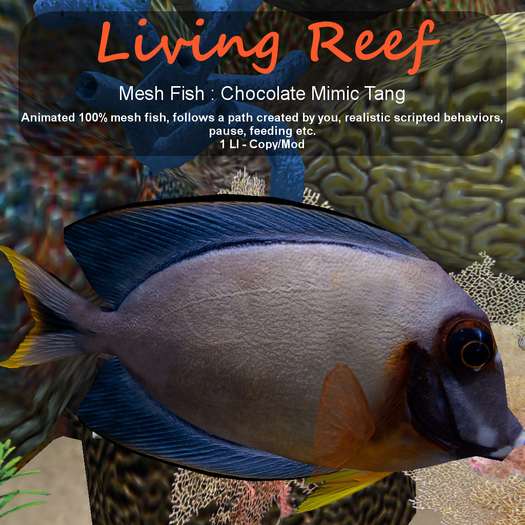 Inochi Reef : Mesh Fish - Chocolate Mimic Tang