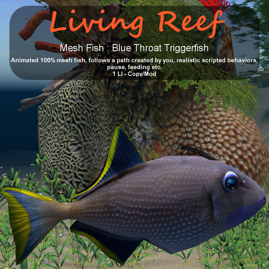 Inochi Reef : Mesh Fish - Blue Throat Triggerfish