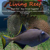 Inochi Reef : Mesh Fish - Blue Throat Triggerfish
