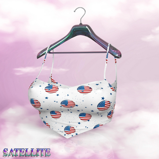 Independence Day Top Perky