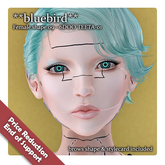**bluebird** Female shape 09 - 6DOO TEETA-01