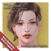 **bluebird** Male shape 04 - CATWA Dino