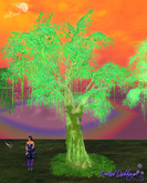 Fantasy Glitter Trees ~Lime~ Low LI ~ PROMO PRICE LIMITED TIME