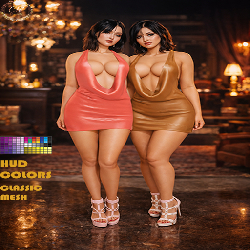 ..CH..FR-40-DRESS-CLASSIC MESH