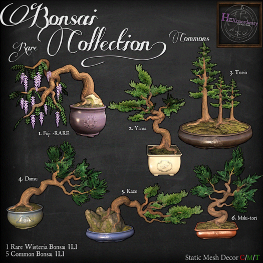 *HEXtraordinary* Bonsai Full Set