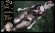 FK* Cali☾☾4☽☽ ☾☾BOM☽☽ ☾☾Furry Mod☽☽