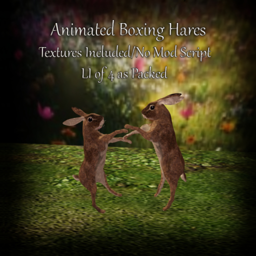 Full Perm Boxing Hares Boxed