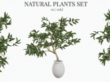 MINIMAL - Natural Plant 02