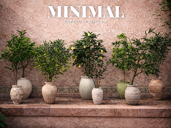 MINIMAL - Natural Plants FATPACK