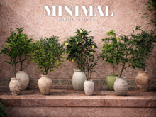 MINIMAL - Natural Plants FATPACK