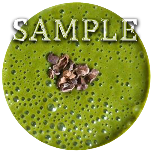 Alpha - Chocolate Peppermint Green Smoothie