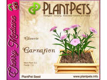 PlantPet Seed [Carnation *Cheerie*]