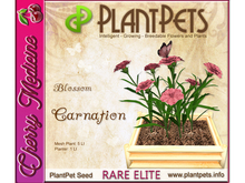 PlantPet Seed [Carnation *Blossom*] (Rare Elite)