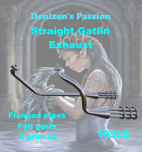 Str Gatlin Exhaust Gun Linked Setup