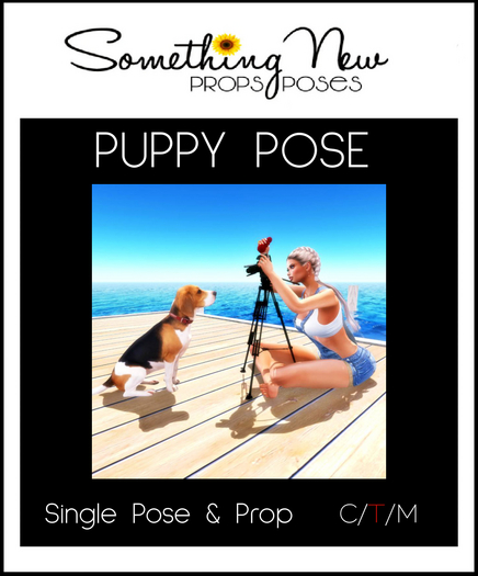 **SN~ Puppy Pose