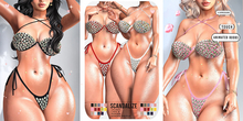 SCANDALIZE ARIES SET FATPACK
