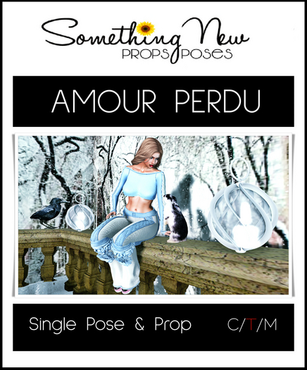 **SN~ Amour Perdu