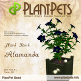 PlantPet Seed [Alamanda *Hard Rock*]
