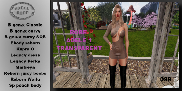 ** DC ** Robe Adele transparent V.1_ "UNPACKER"