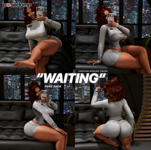 [posedump] "WAITING" Posepack
