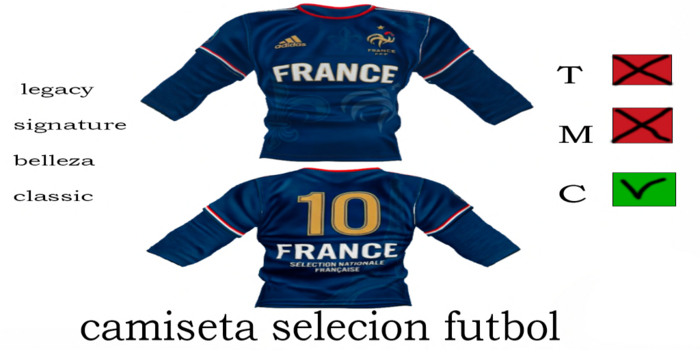 CAMISETA SELECION FRANCIA