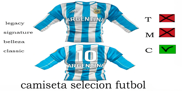 CAMISETA SELECION ARGENTINA