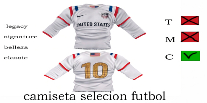 CAMISETA  SELECION USA V2