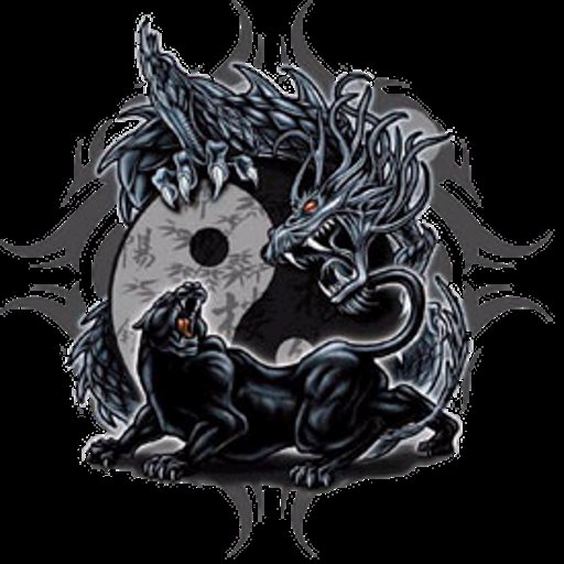 YingYang Pather dragon 2