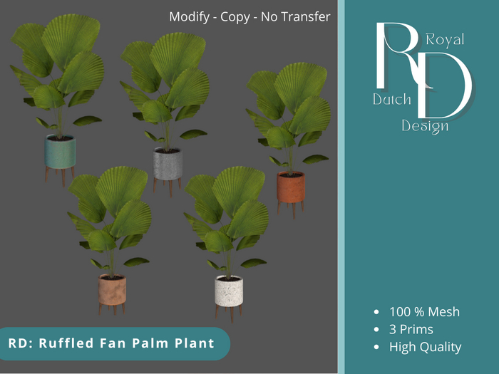 RD: Ruffled Fan Palm Plant 